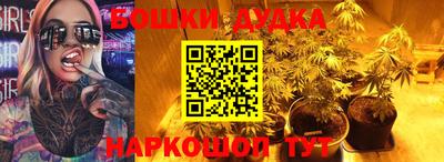 индика Ликино-Дулёво