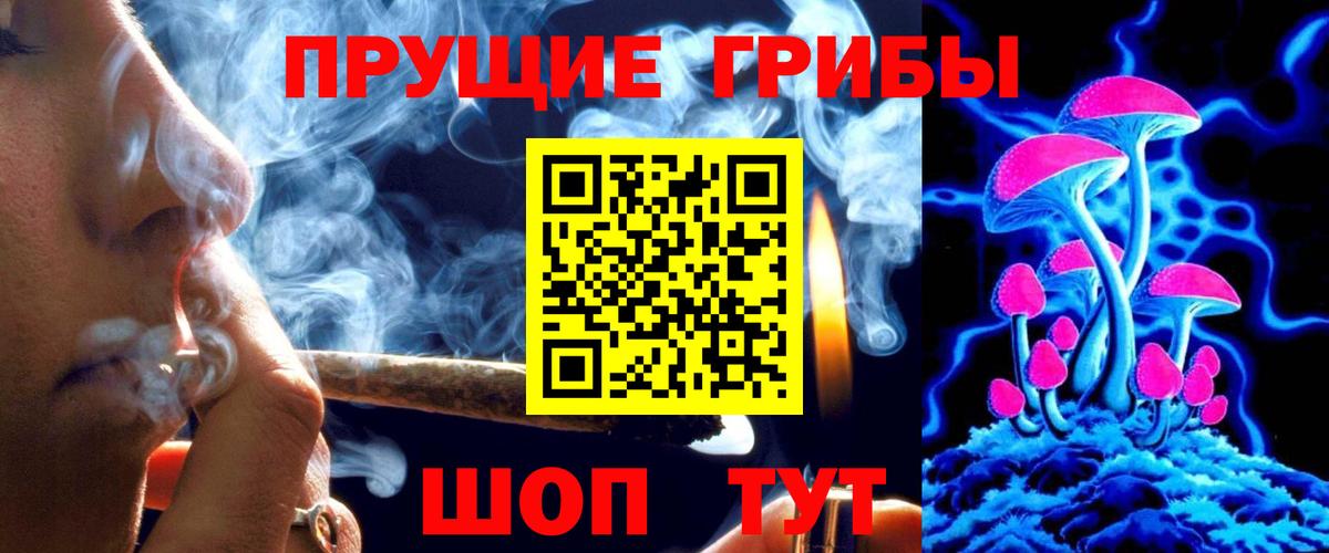 Псилоцибиновые грибы Psilocybe Железноводск